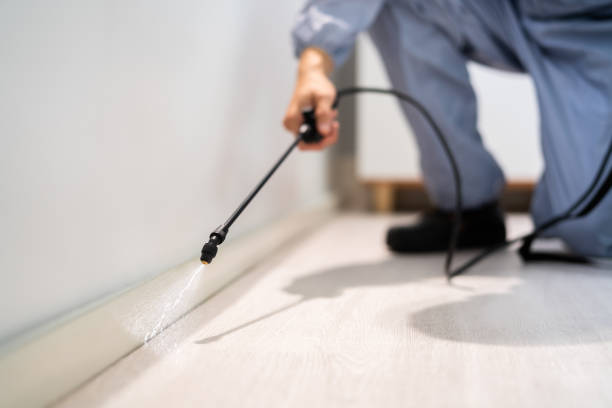 Licensed Termite Control service in Burgin, KY - Nex Pest Control