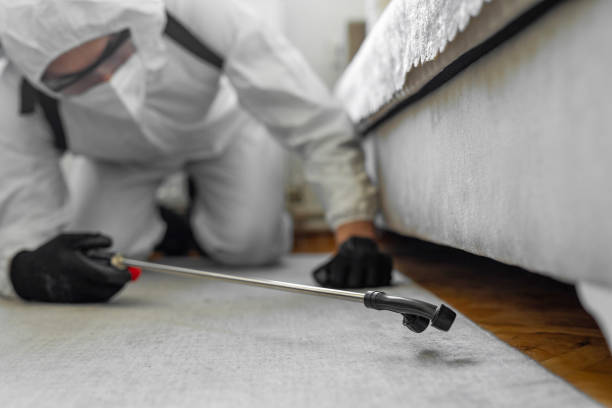 Professional Termite Control technician working in Burgin, KY