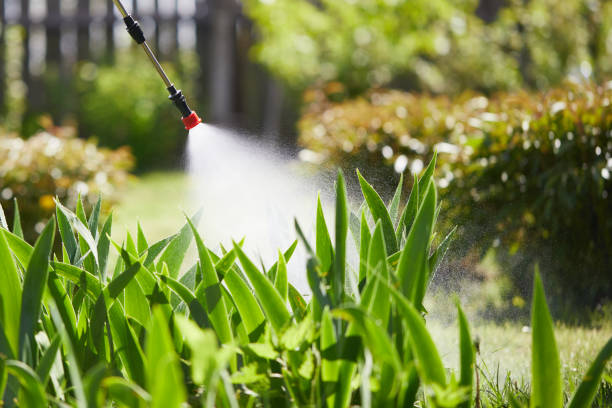 24/7 Emergency Termite Control experts in Burgin, KY