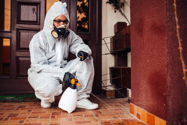 Reliable Termite Control contractor in Burgin, KY by Nex Pest Control