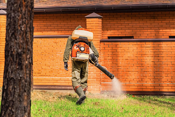 Top rated local Termite Control specialists in Burgin, KY